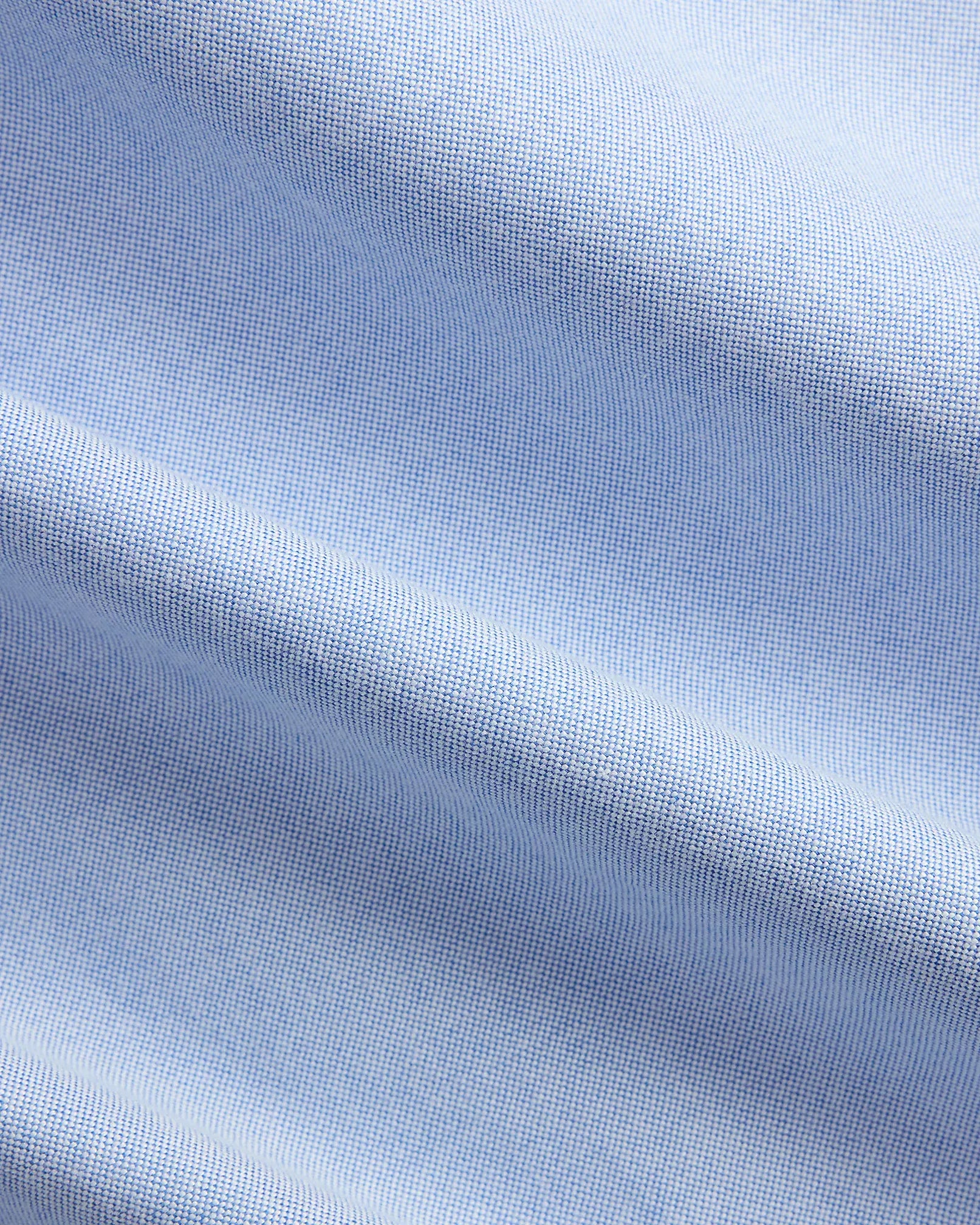 Custom Fit Polo Bear Oxford Shirt (Blue Heritage Bear)