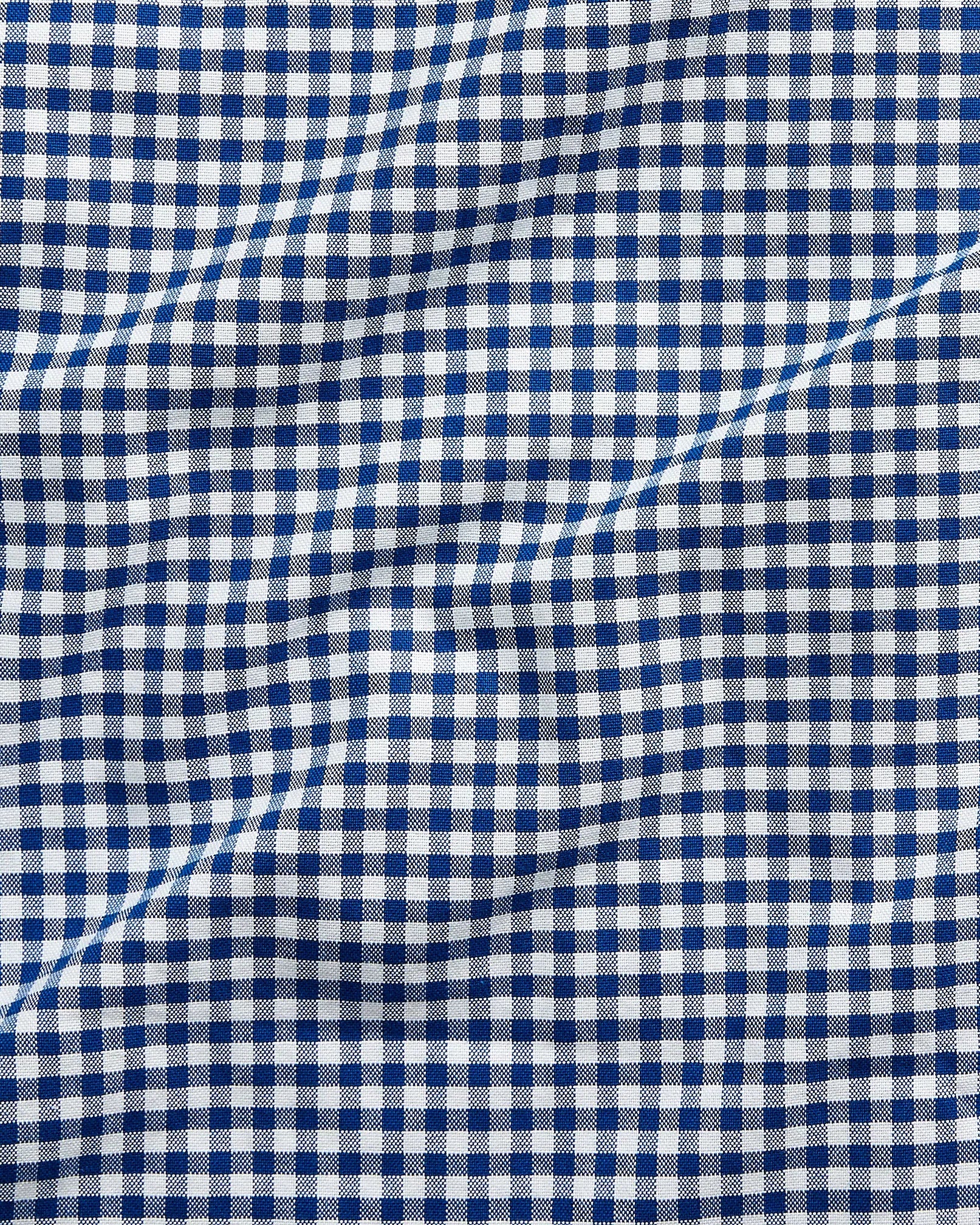 Classic Fit Gingham Oxford Shirt (Royal/White)